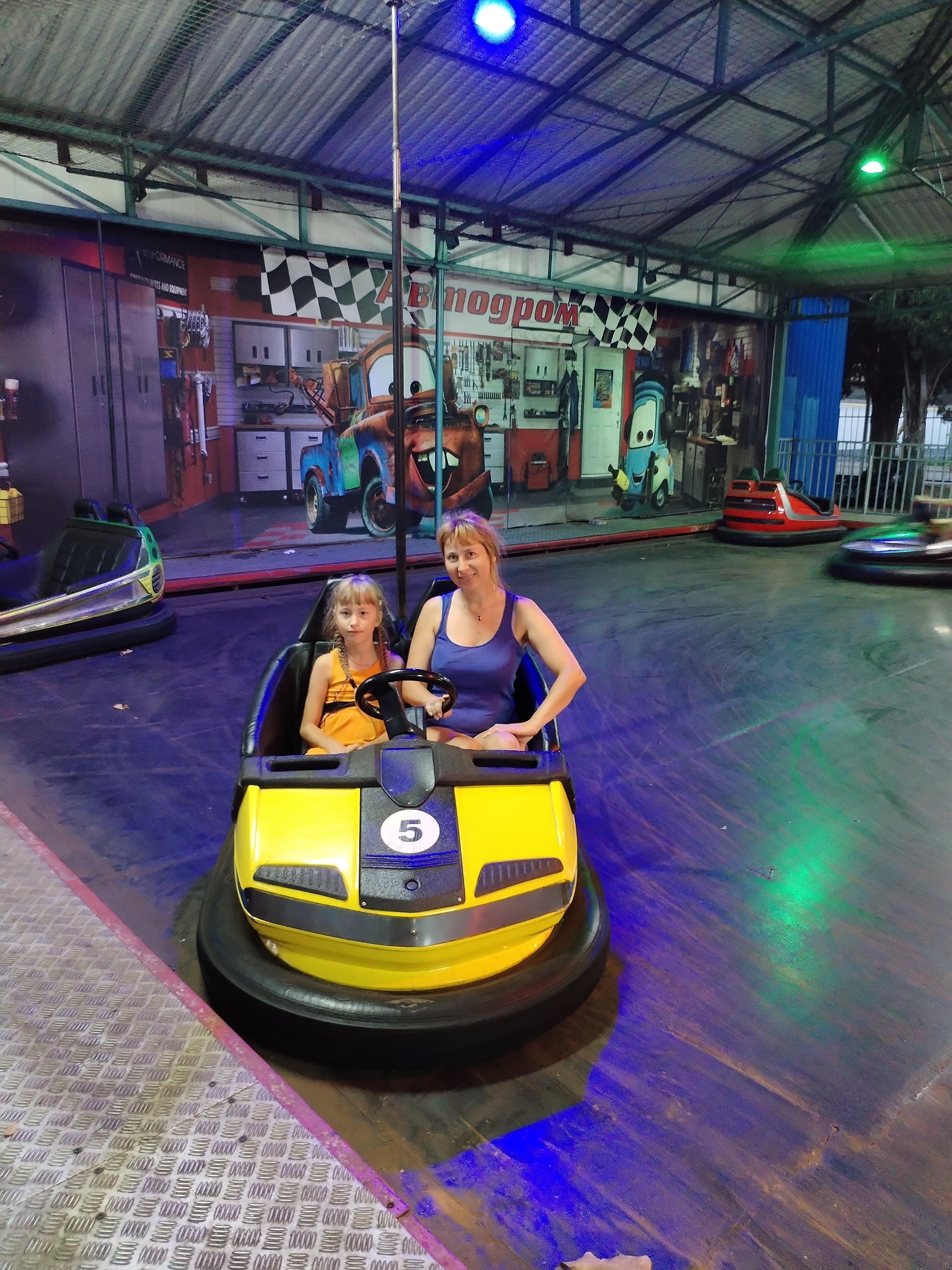 Фото Дельфин