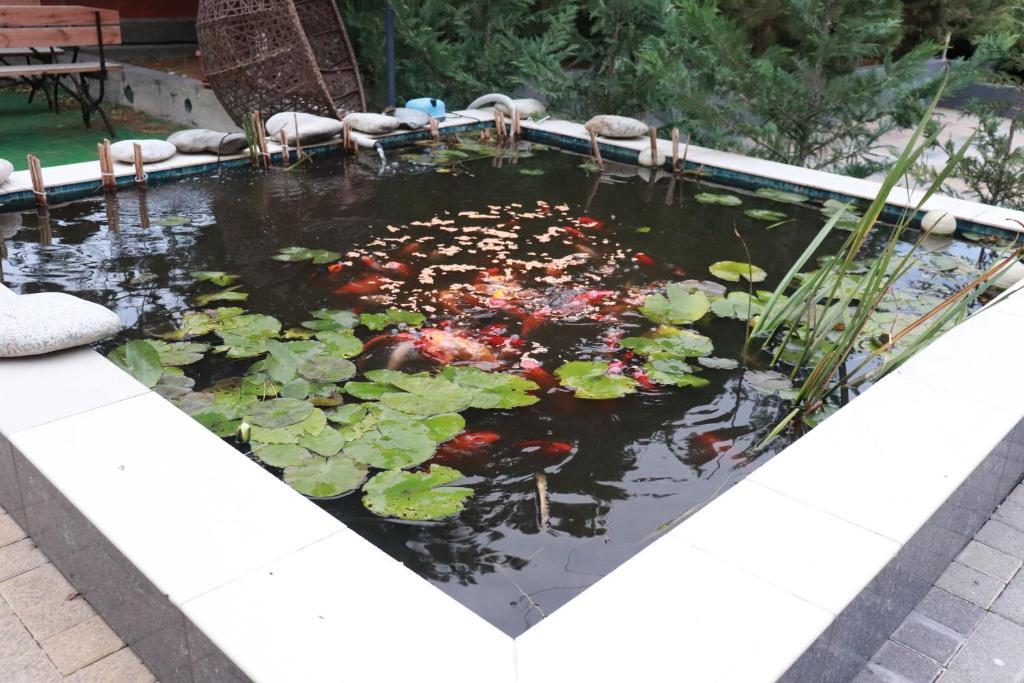 Фото Солнечная Гавань