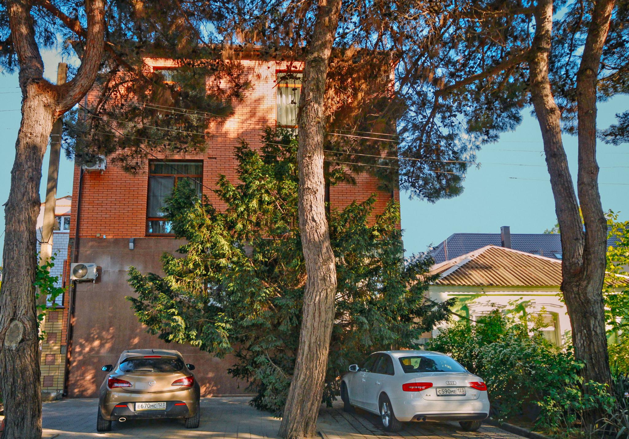 Фото Южный берег