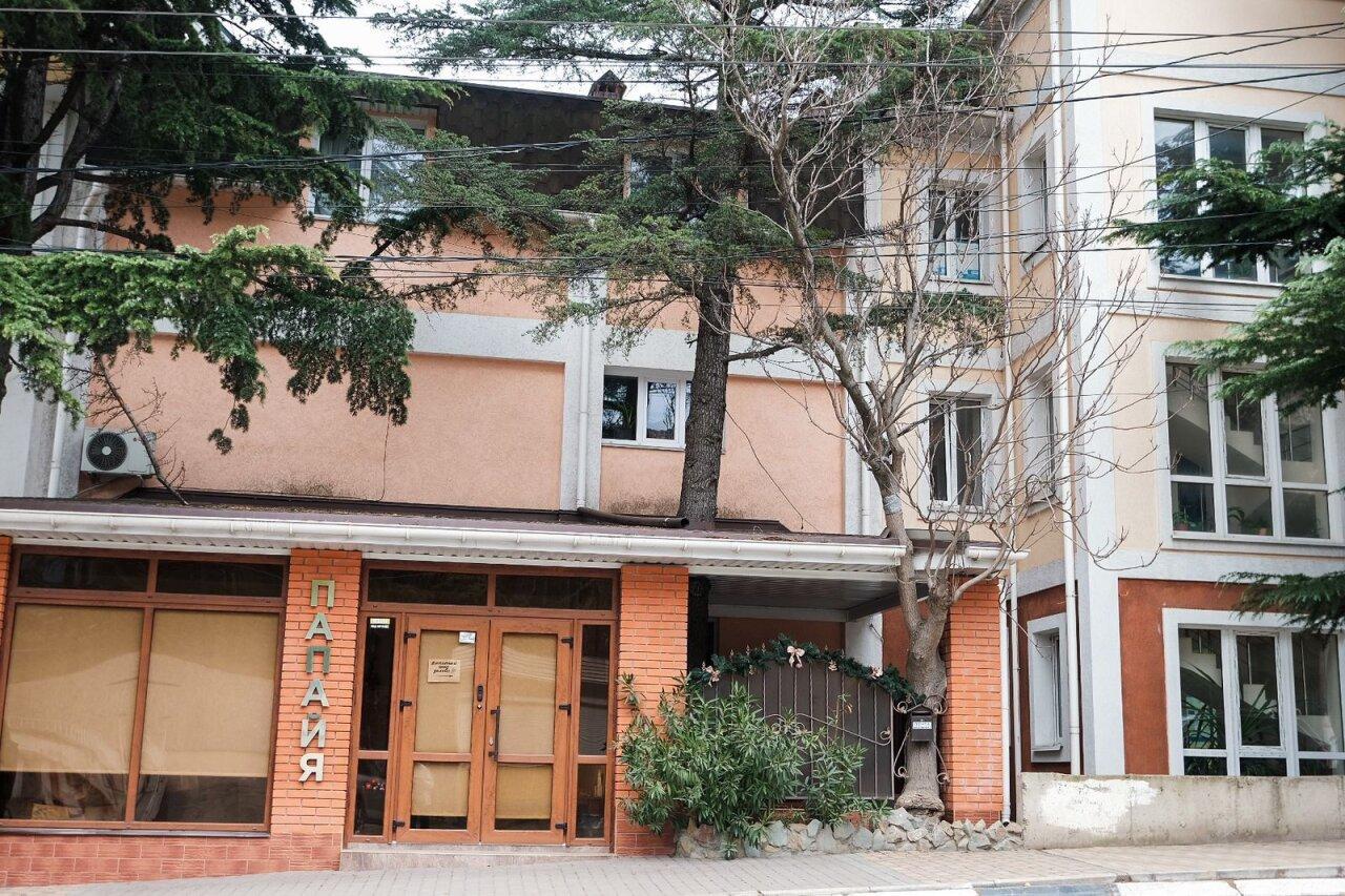 Фото Папайя