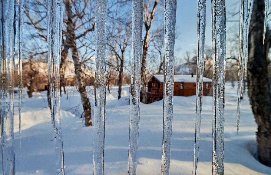 Фото Камчатка Форест Лодж