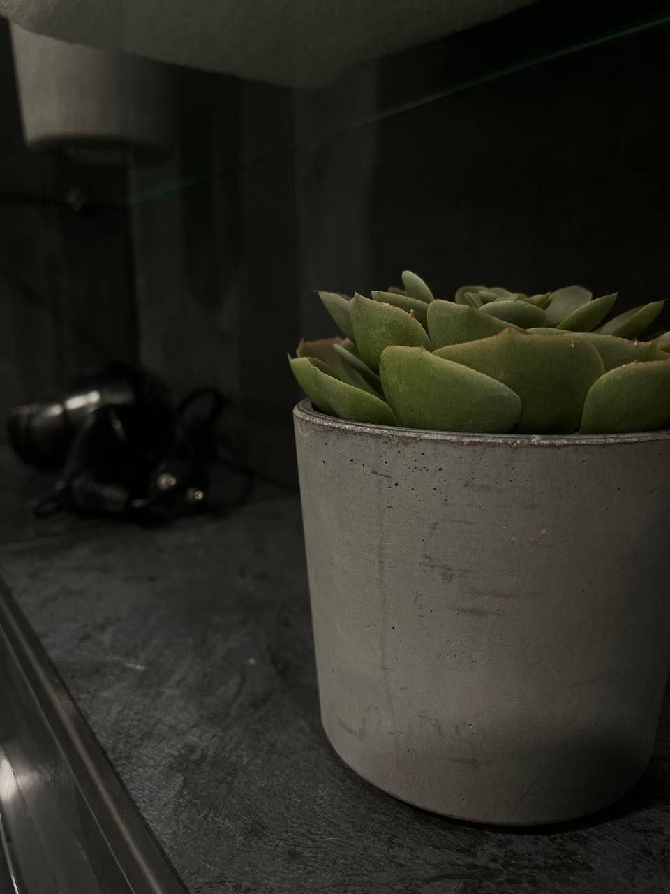 Фото Мегаполис