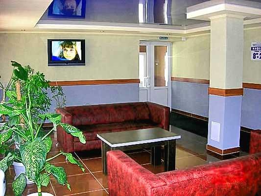 Фото Гвоздика