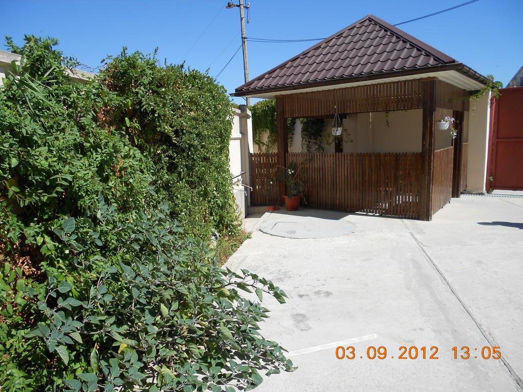 Фото Гулливер-1