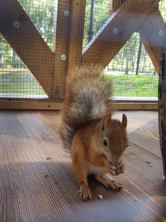 Фото Застава