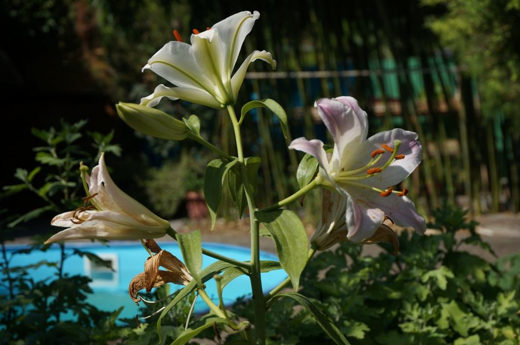 Фото Гостевой дом K&t