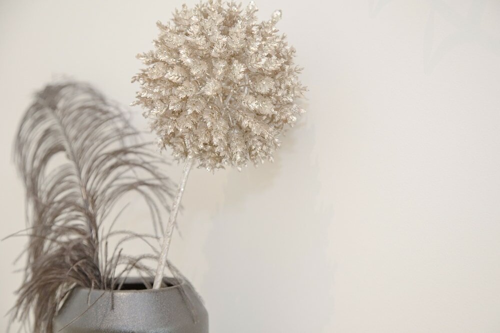 Фото Liiiving in Porto - Cozy & Chic Downtown