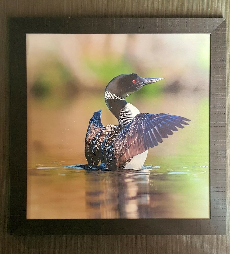 Фото Heartland Inn & Suites, SureStay Collection by Best Western