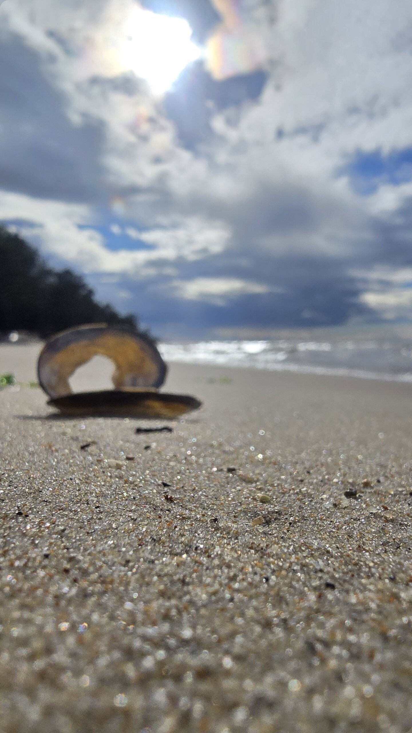 Фото Атмосфера Байкала