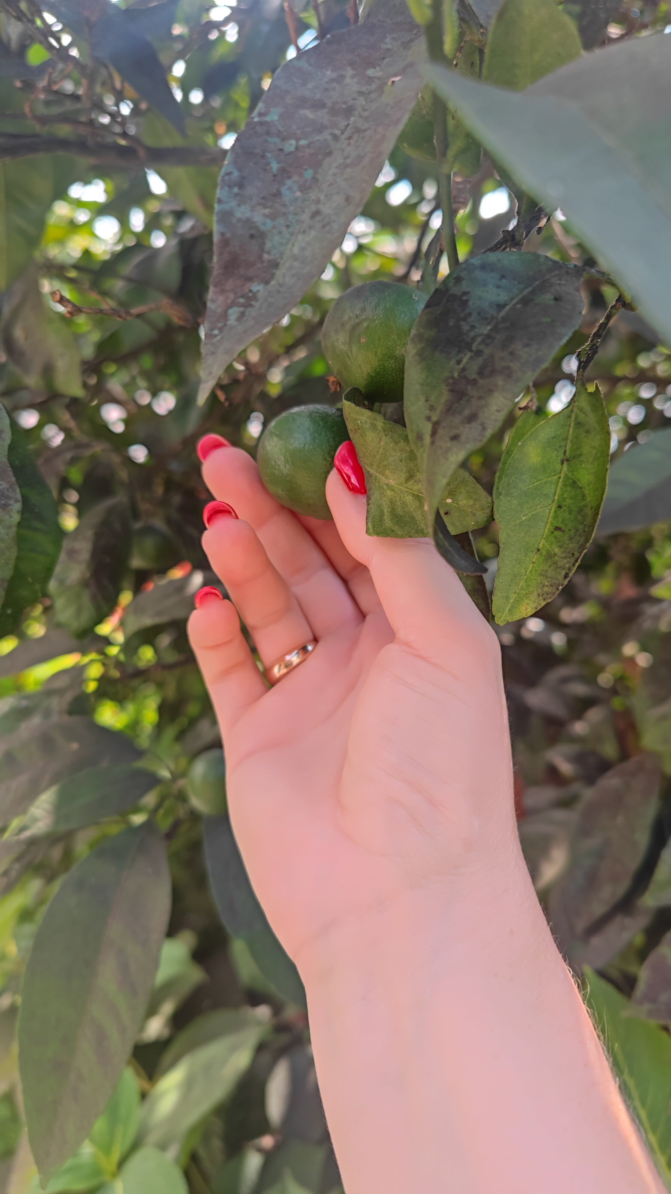 Фото Усадьба