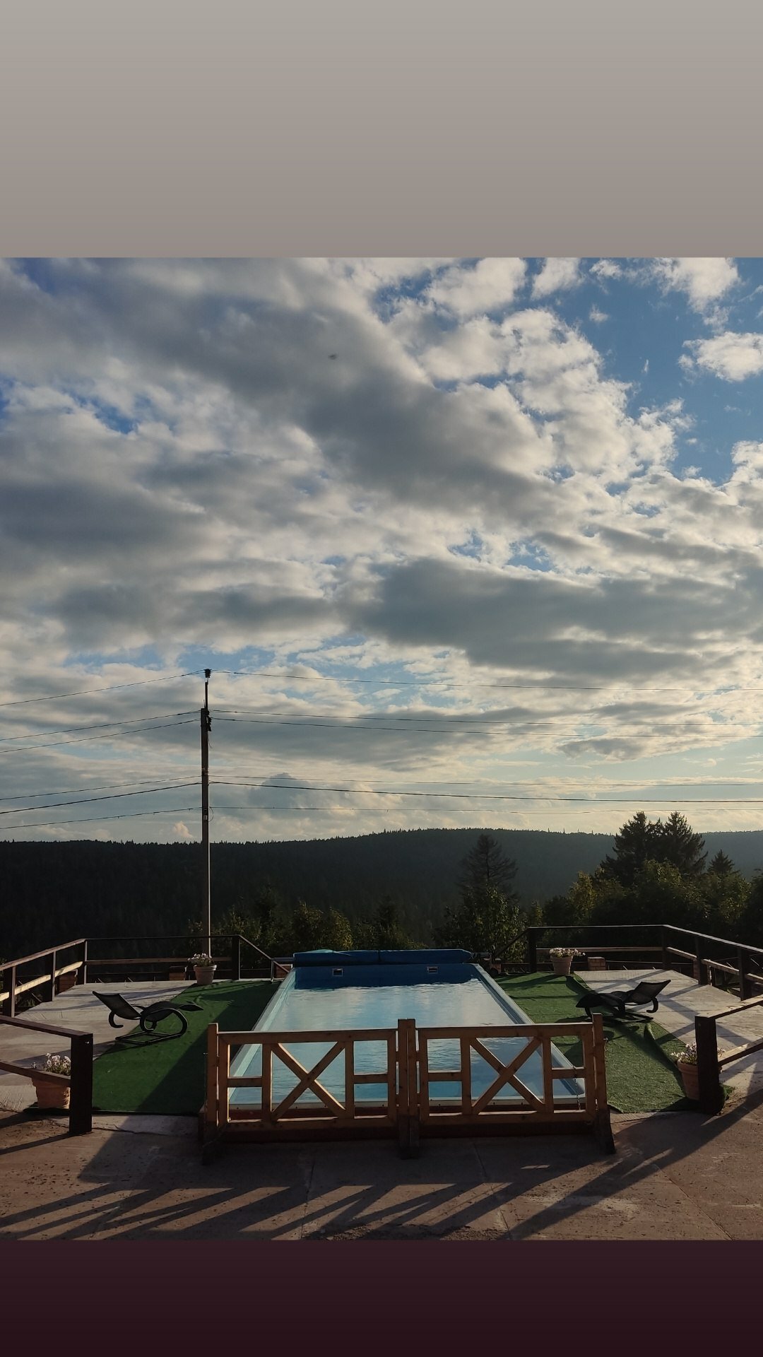 Фото Снегири