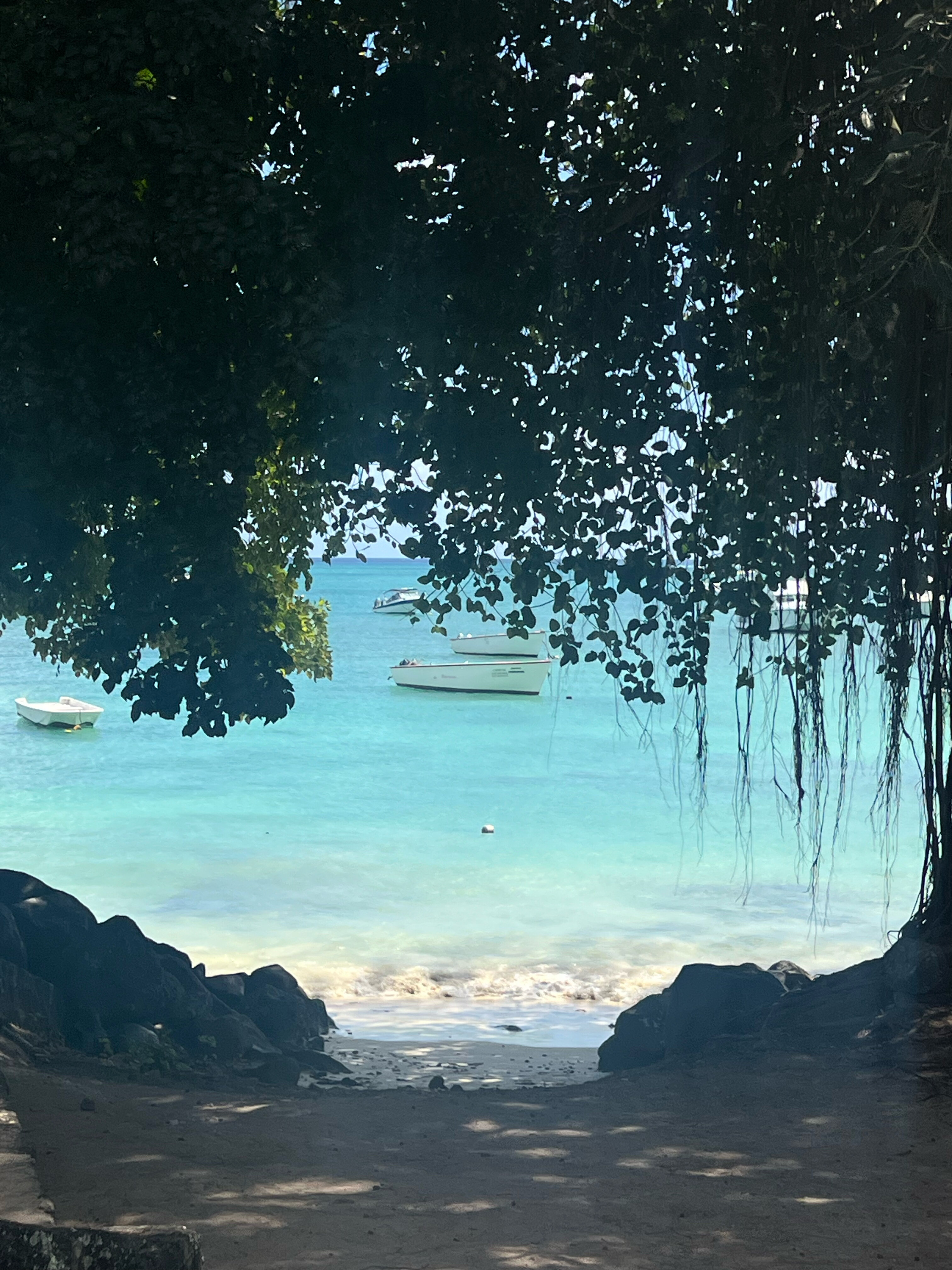 Фото Casuarina Resort and SPA