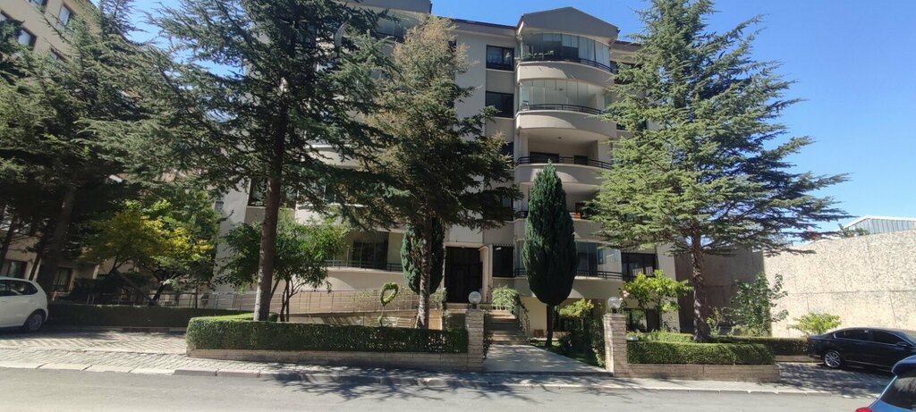 Business consulting Sepra Education Consultancy Joint Stock Company, Ankara, photo