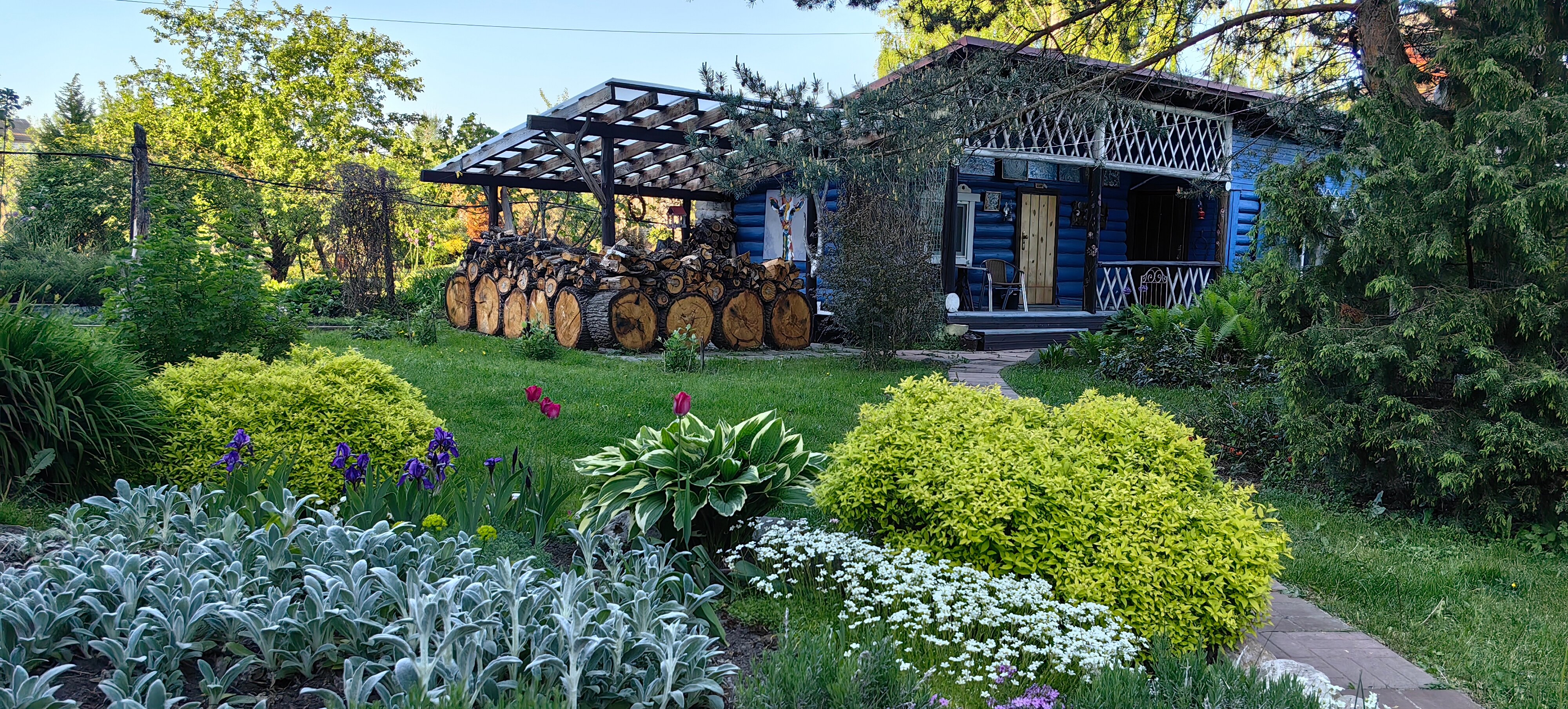 Фото Лавандовый сад