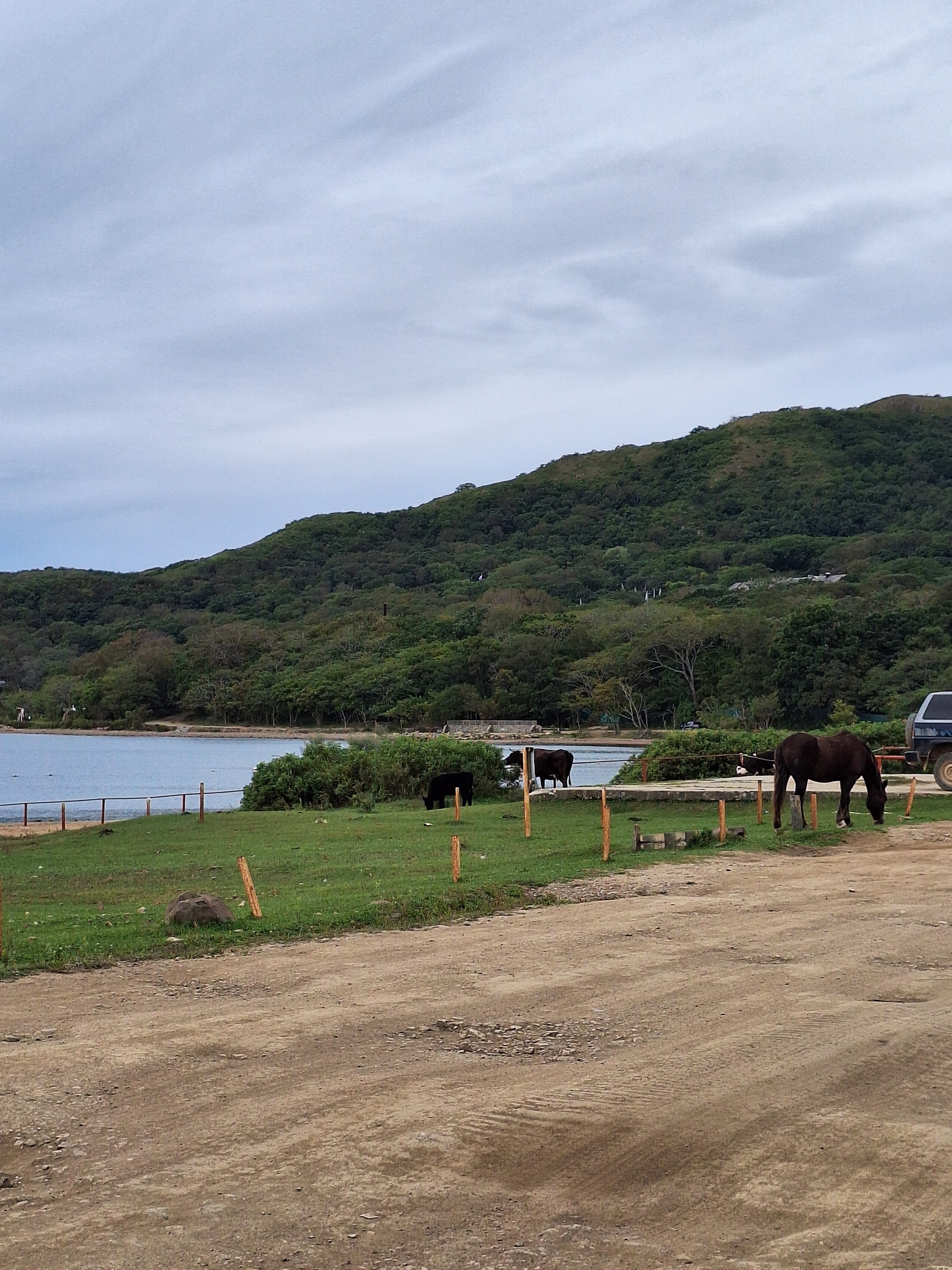 Фото СКАТ-Витязь