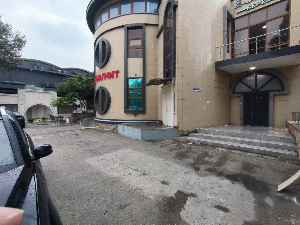 Фото Берёзка