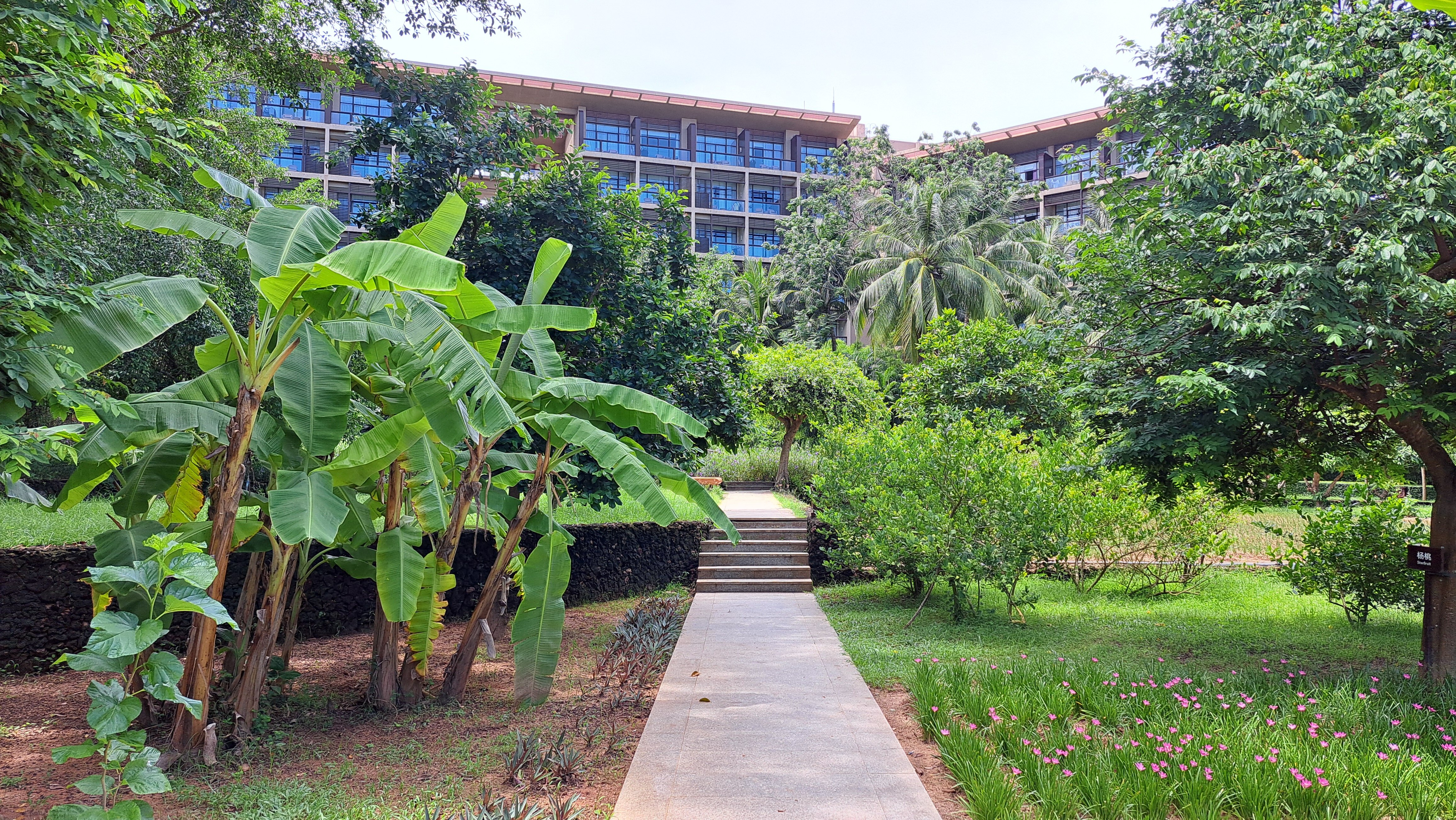 Фото Yalong Bay Mangrove Tree Resort
