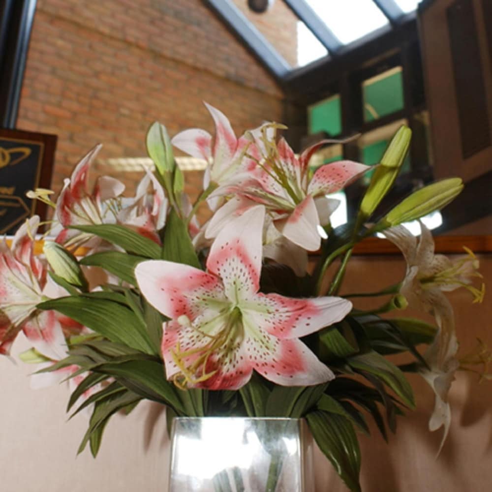 Фото Meadow Court Inn