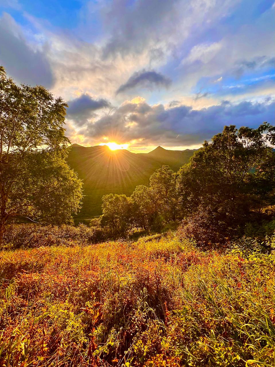 Фото Снежная Долина