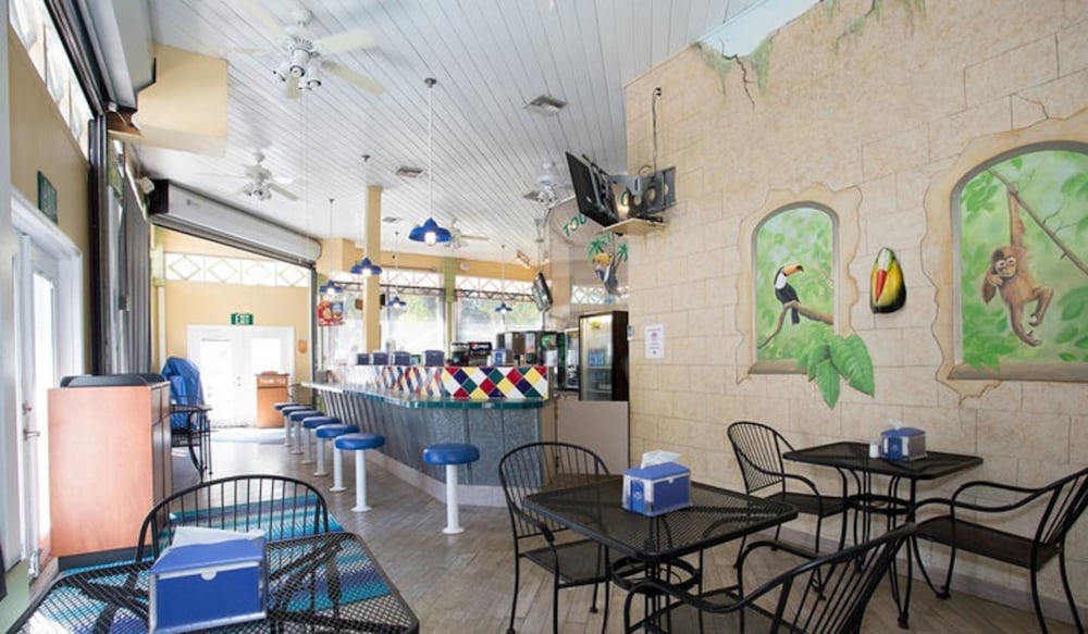 Фото Tropical Palms