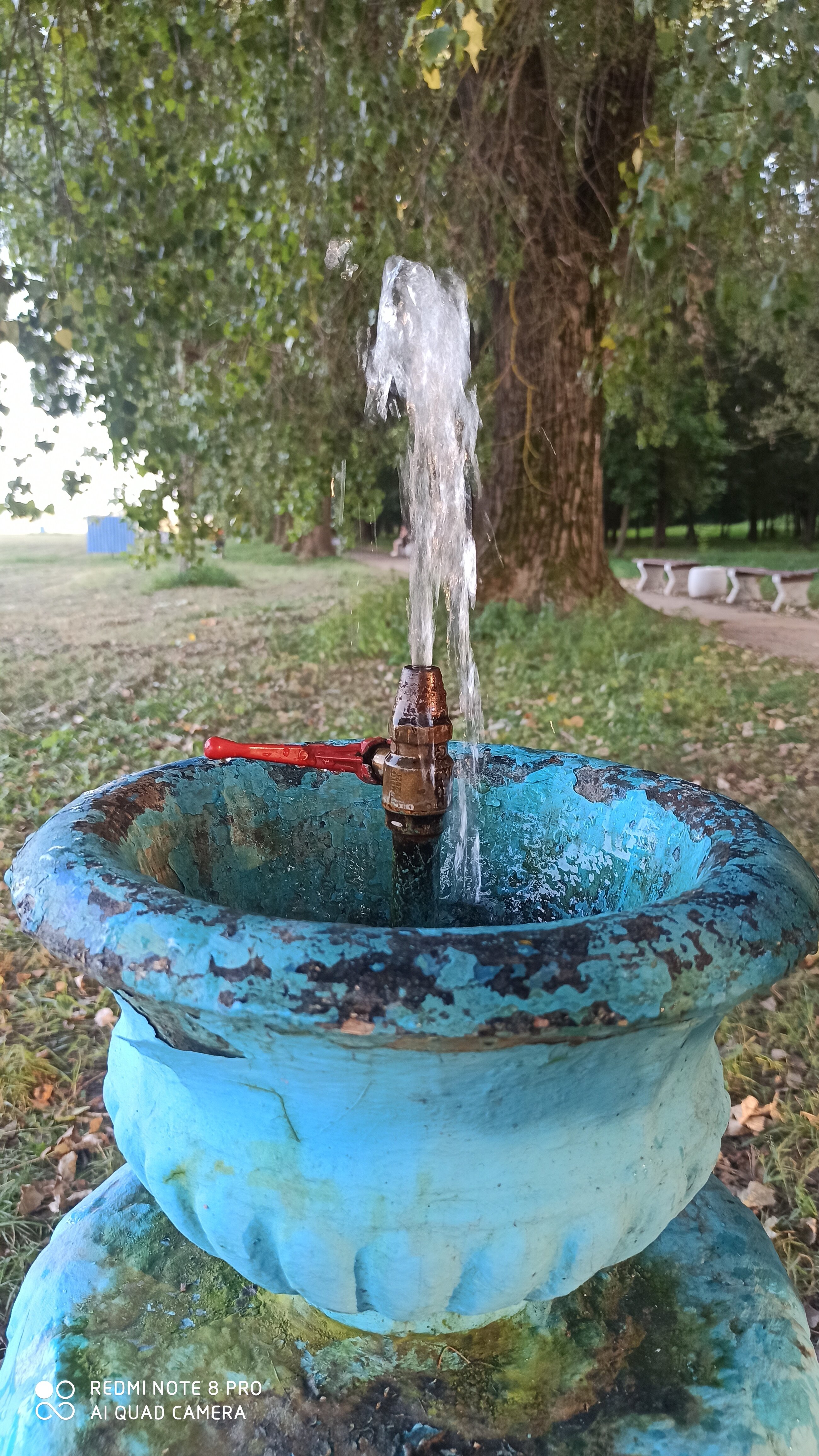 Фото Турист