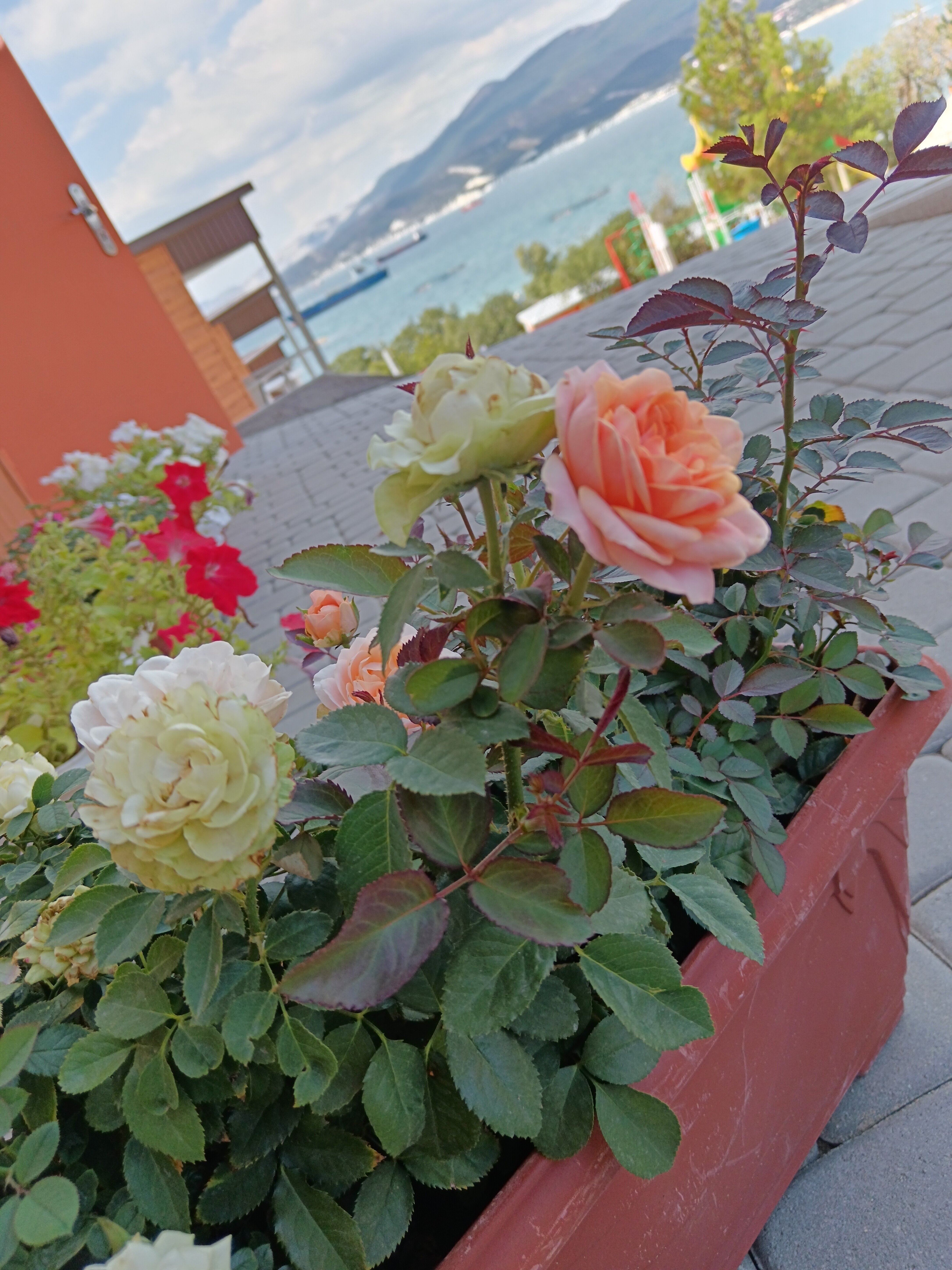 Фото 1836 Кабардинка