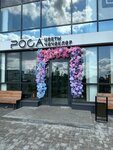Rosa (Raisa Belyaeva Avenue, 2Б) ، محل زهور