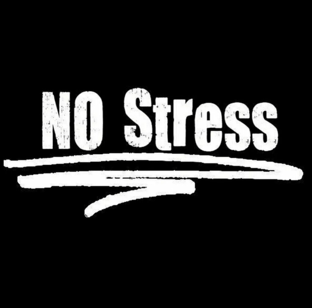 Security company No stress, Moscow, photo