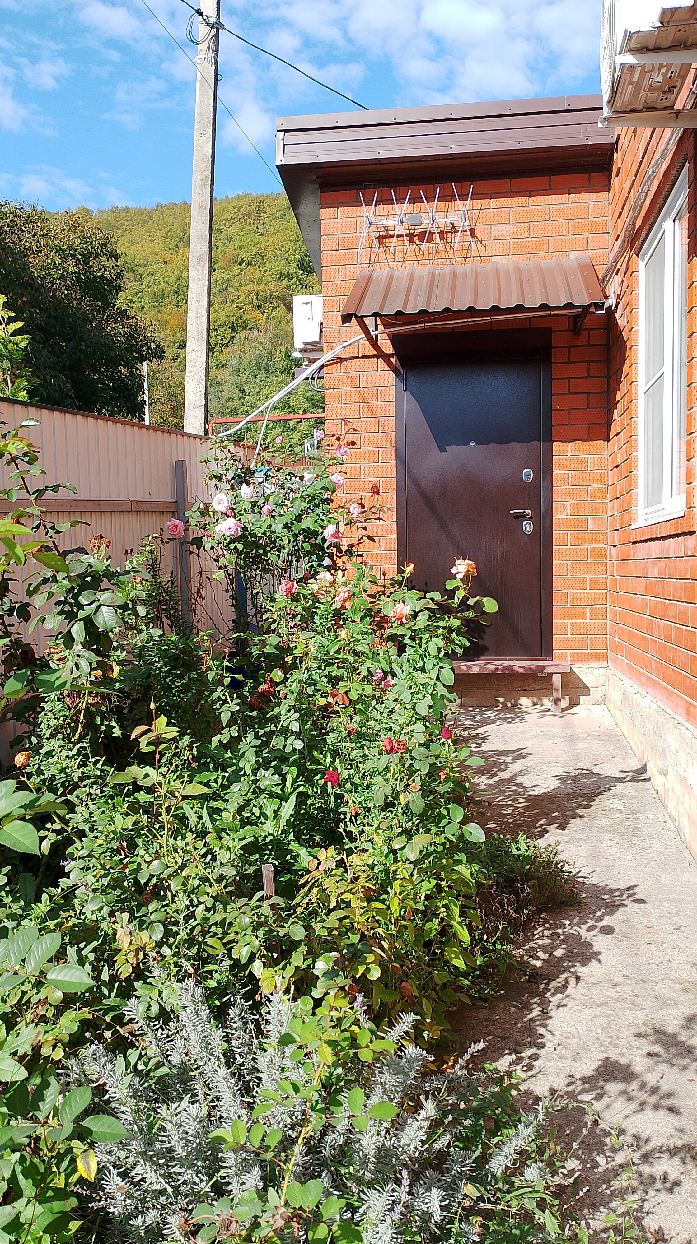 Фото Панорама