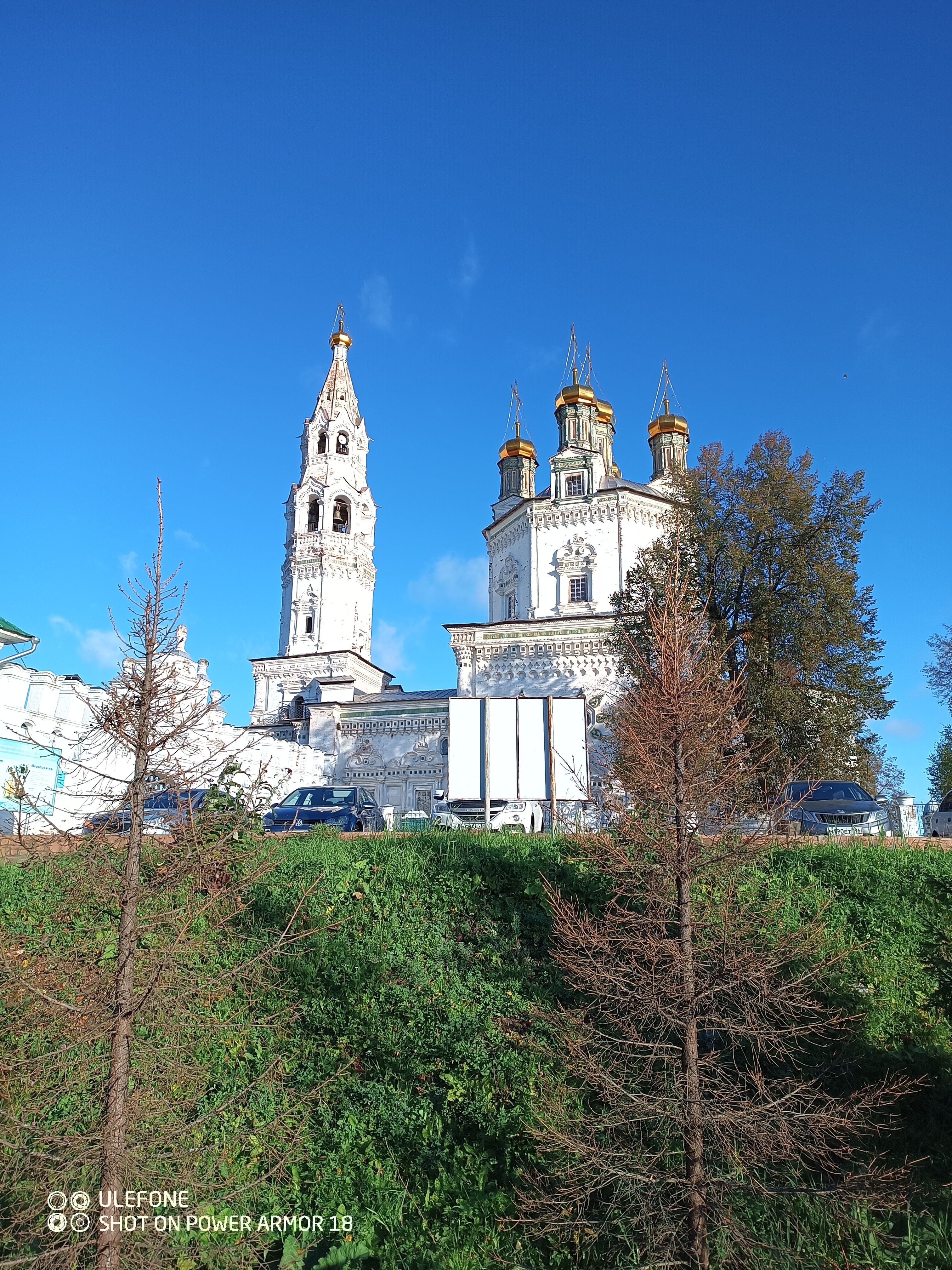 Фото Соболь