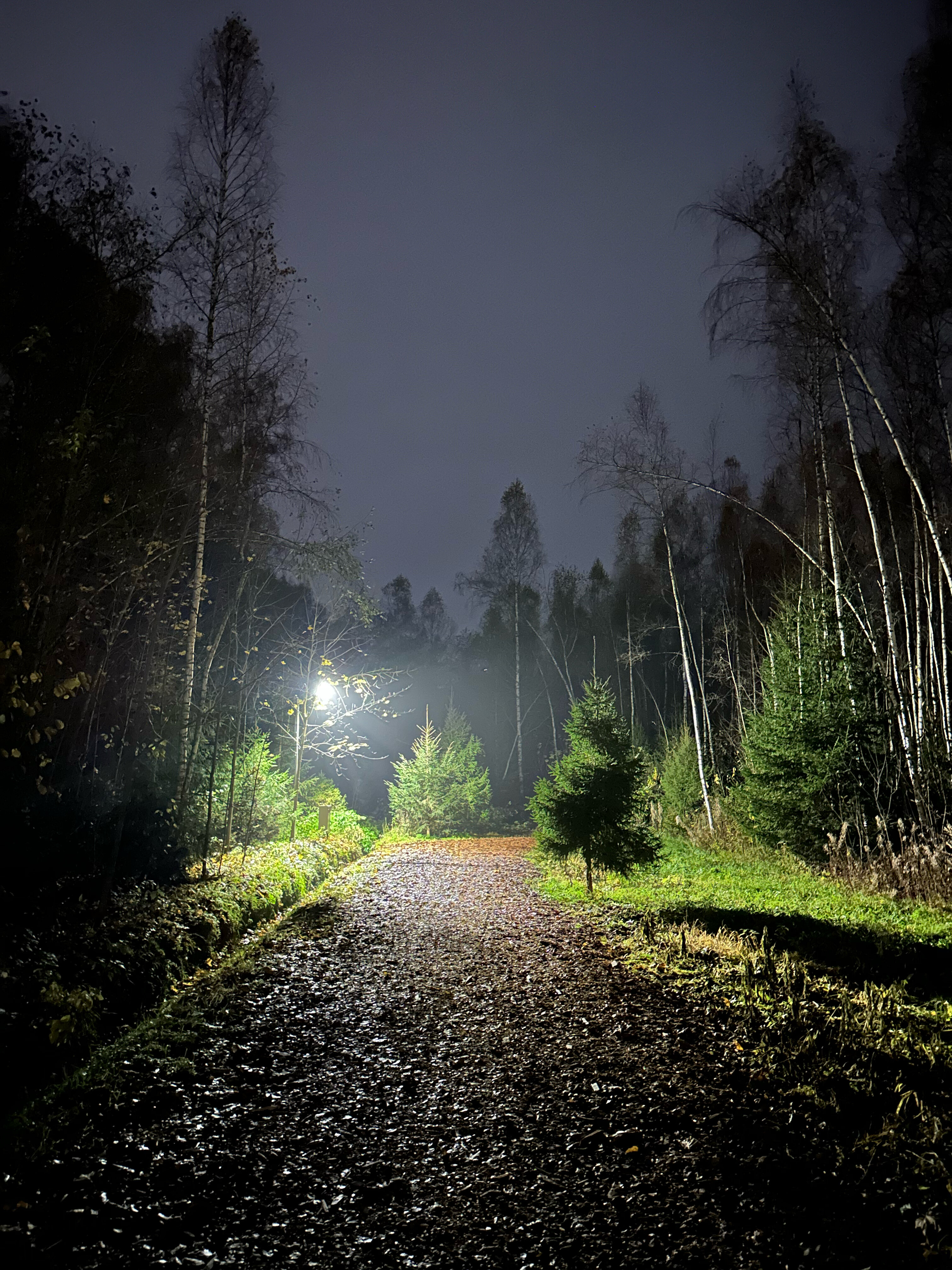 Фото Глэмпинг След Лося