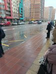 ЖК Пригород Лесное (Moscow Region, Leninskiy City District, posyolok gorodskogo tipa Misaylovo, Molodyozhny bulvar), public transport stop