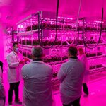 Plant Factory (İstanbul, Maltepe, Bağdat Cad., 552) ، المشاريع الزراعية