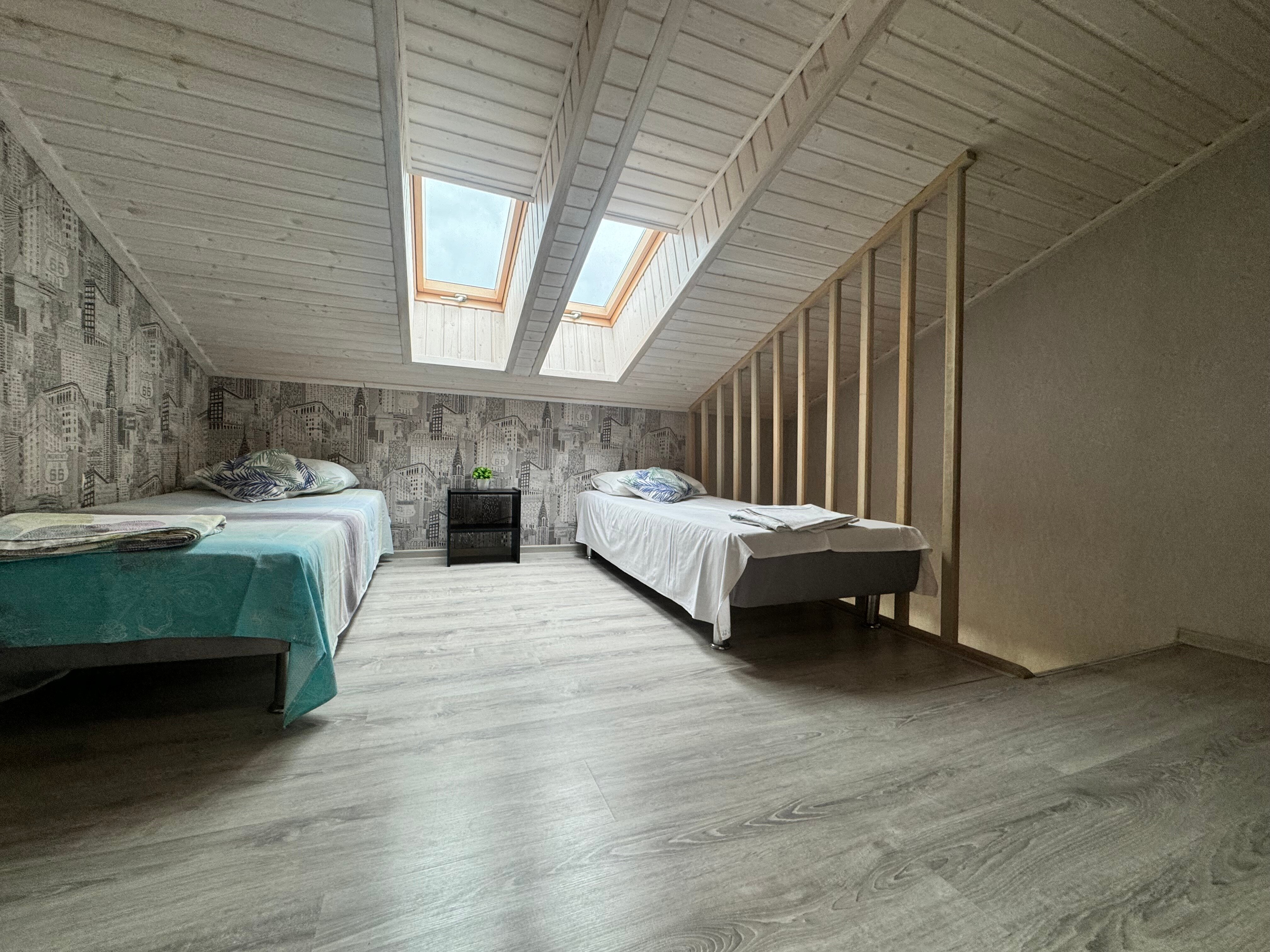 Фото Дельфин