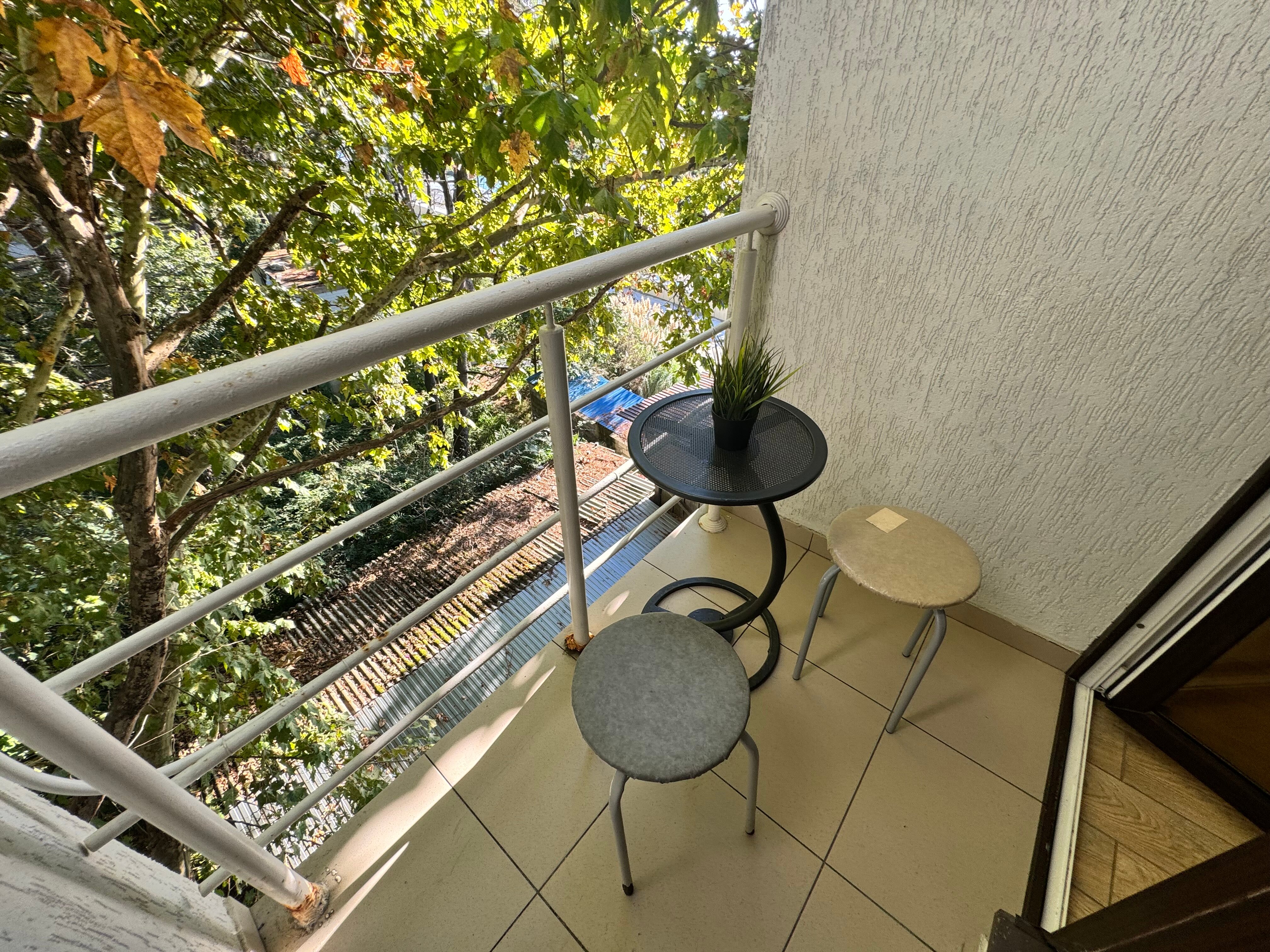 Фото Дельфин