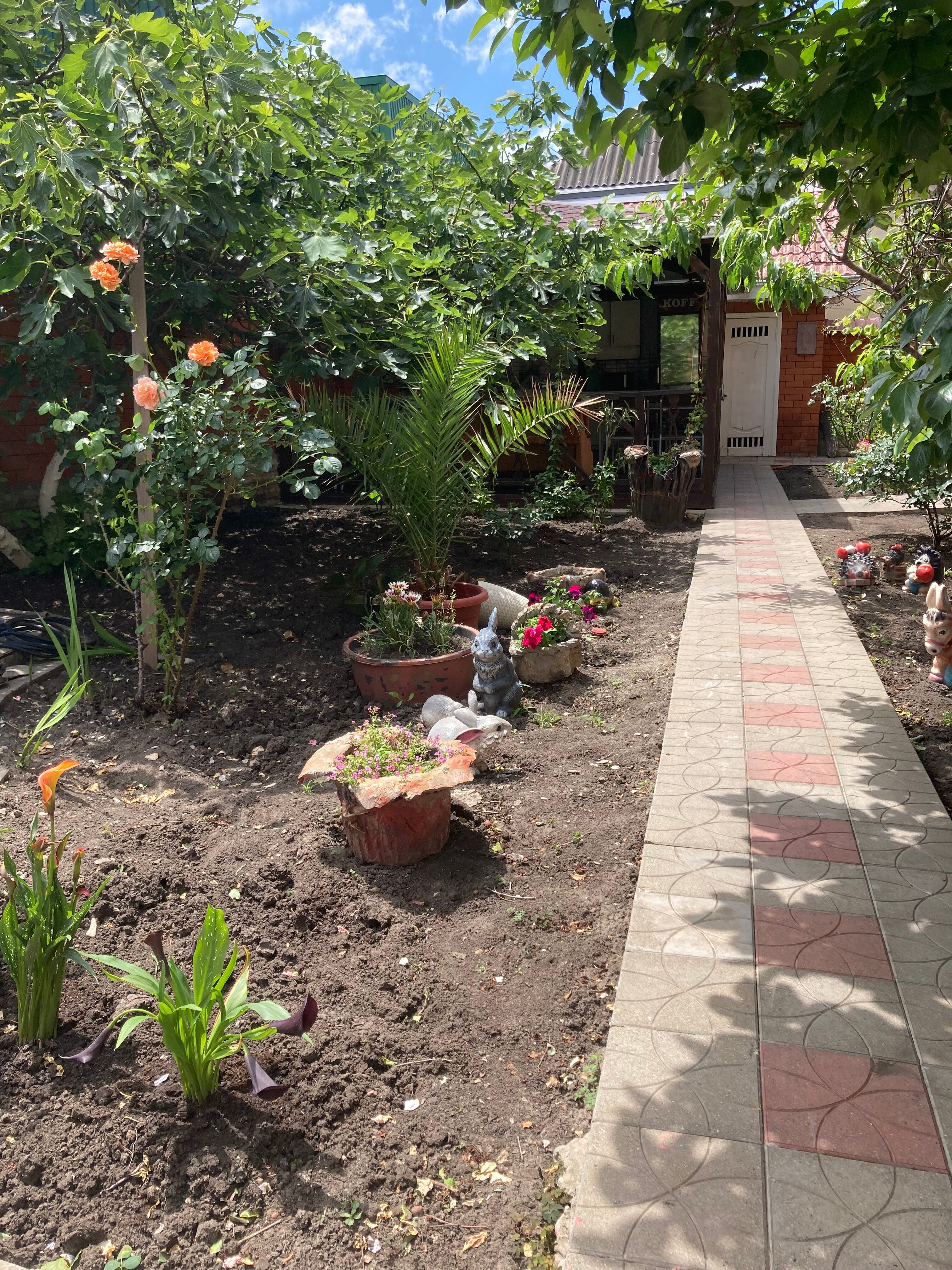 Фото Гостиный двор