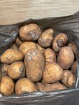 Самара-Солана (posyolok Lunacharskiy, ulitsa Mira, 4), empresa agrícola