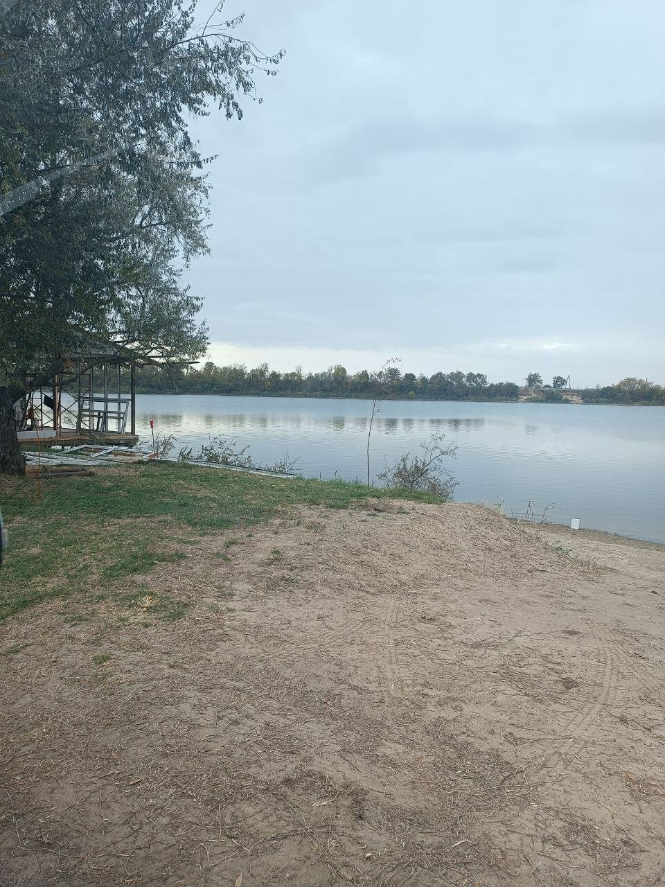 Фото Ягода-Малина