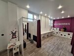 Wildberries (Lomonosova Avenue, 98), punto de entrega