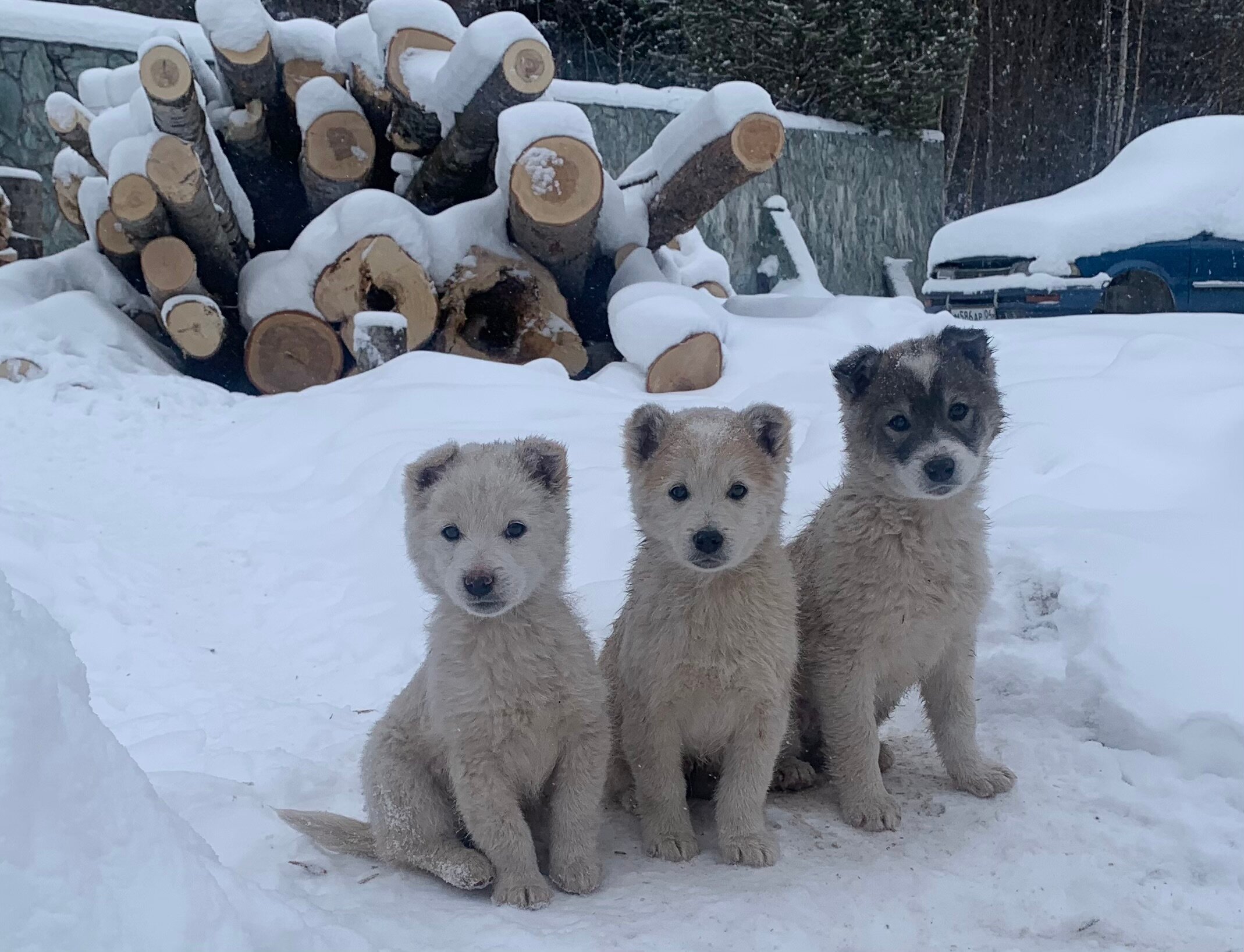 Фото Алтын-Кёль
