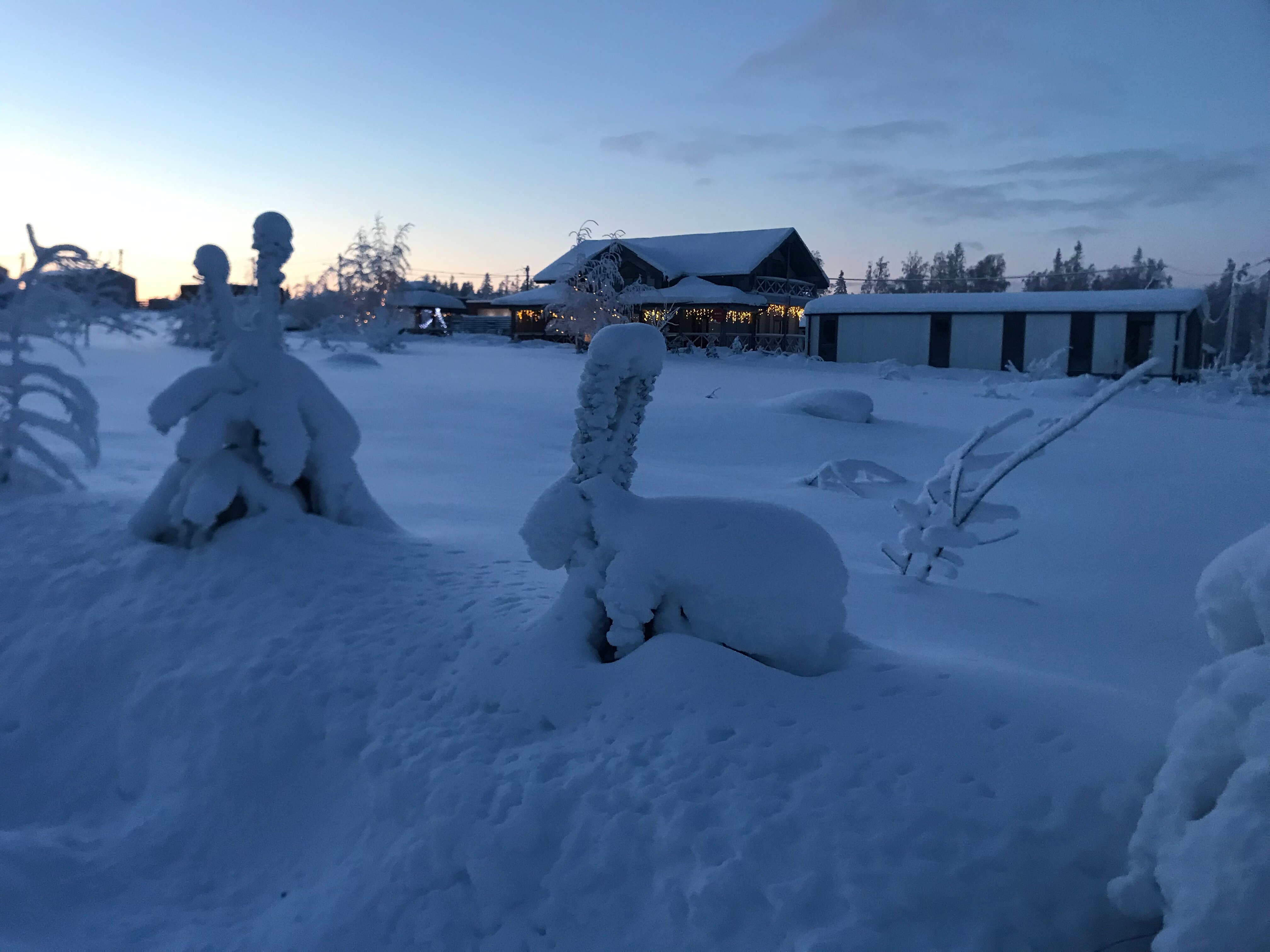 Фото На Венере у Игоры