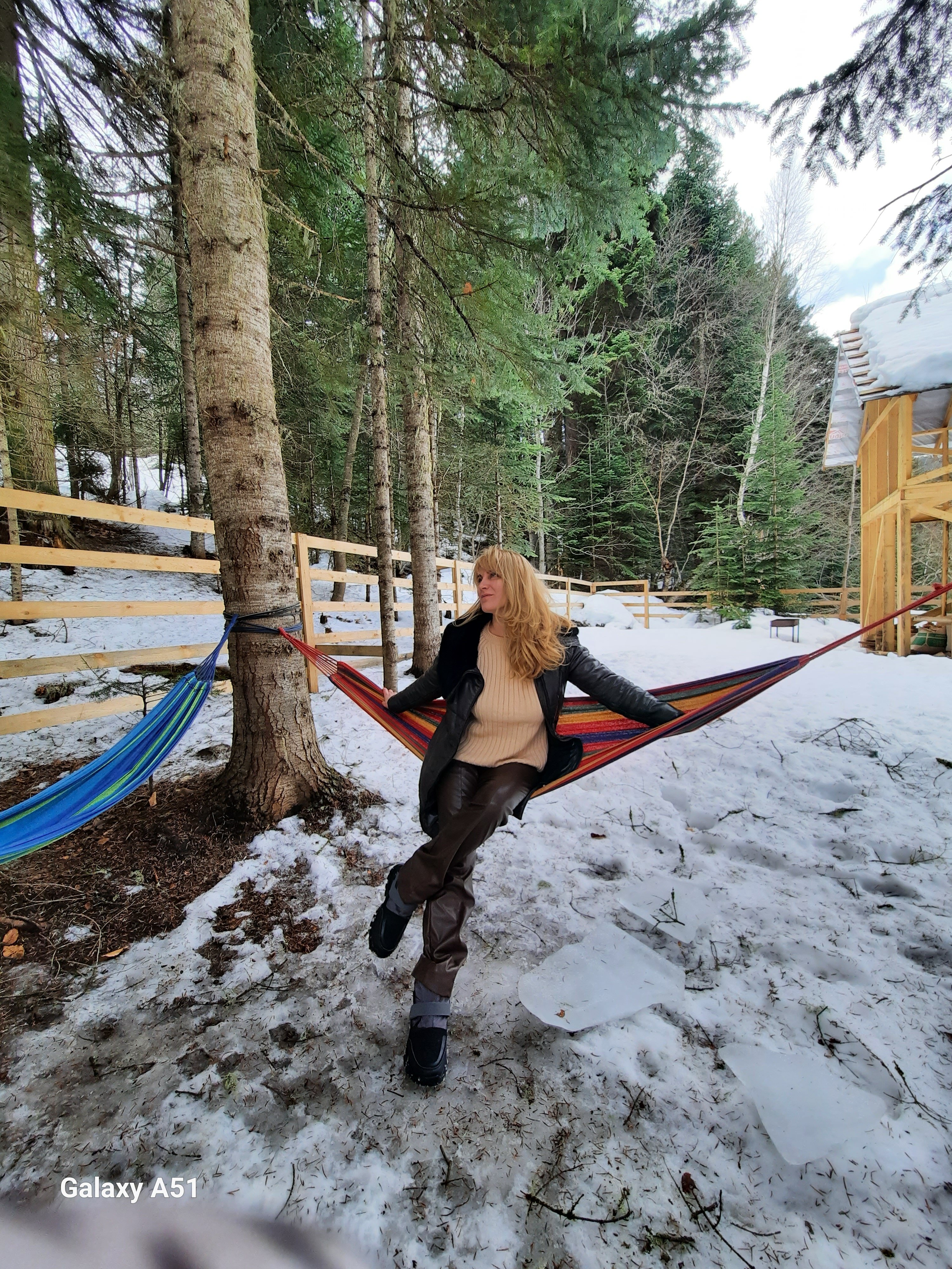 Фото Greenhouse 1599