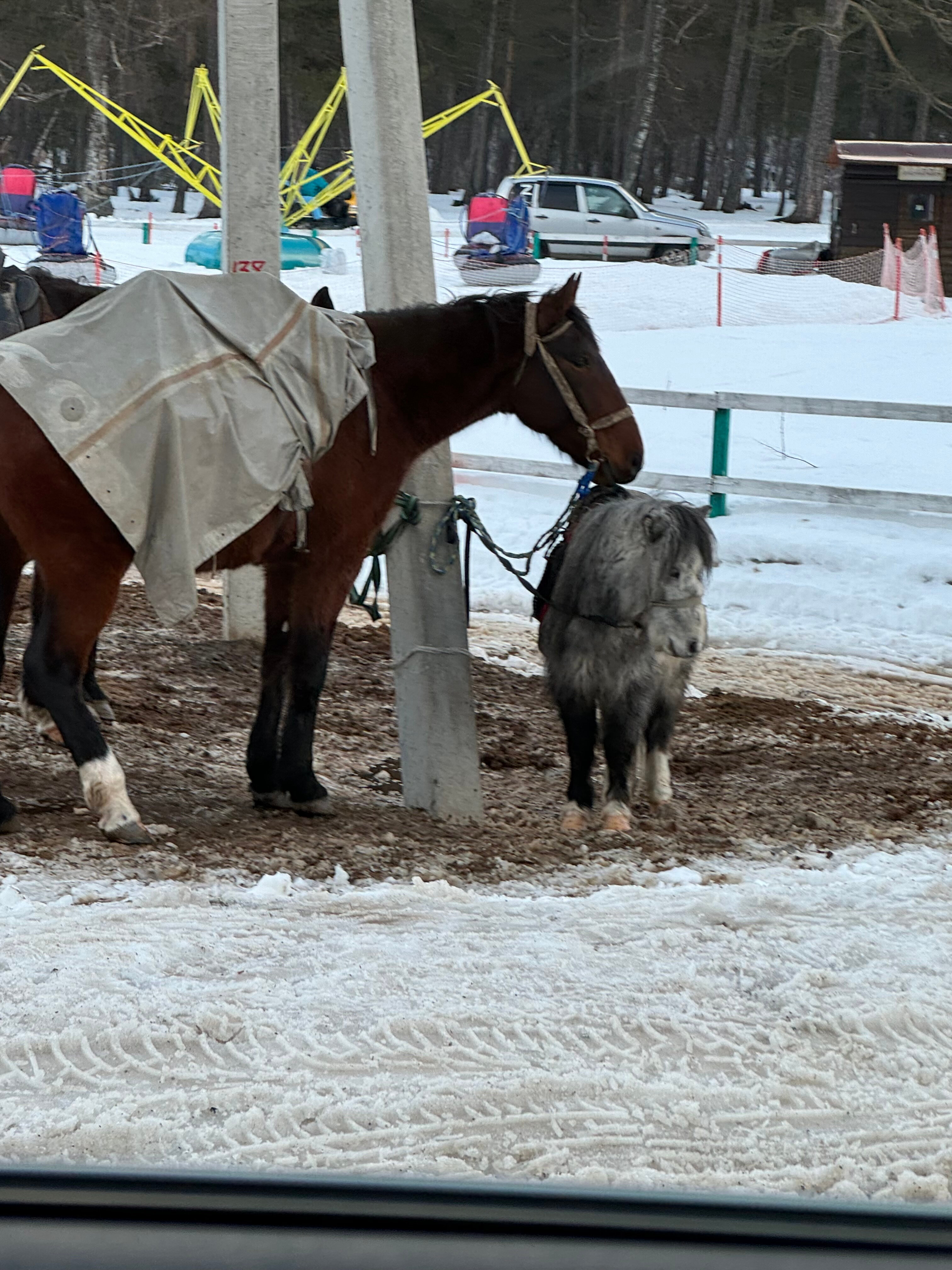 Фото Таулу Архыз