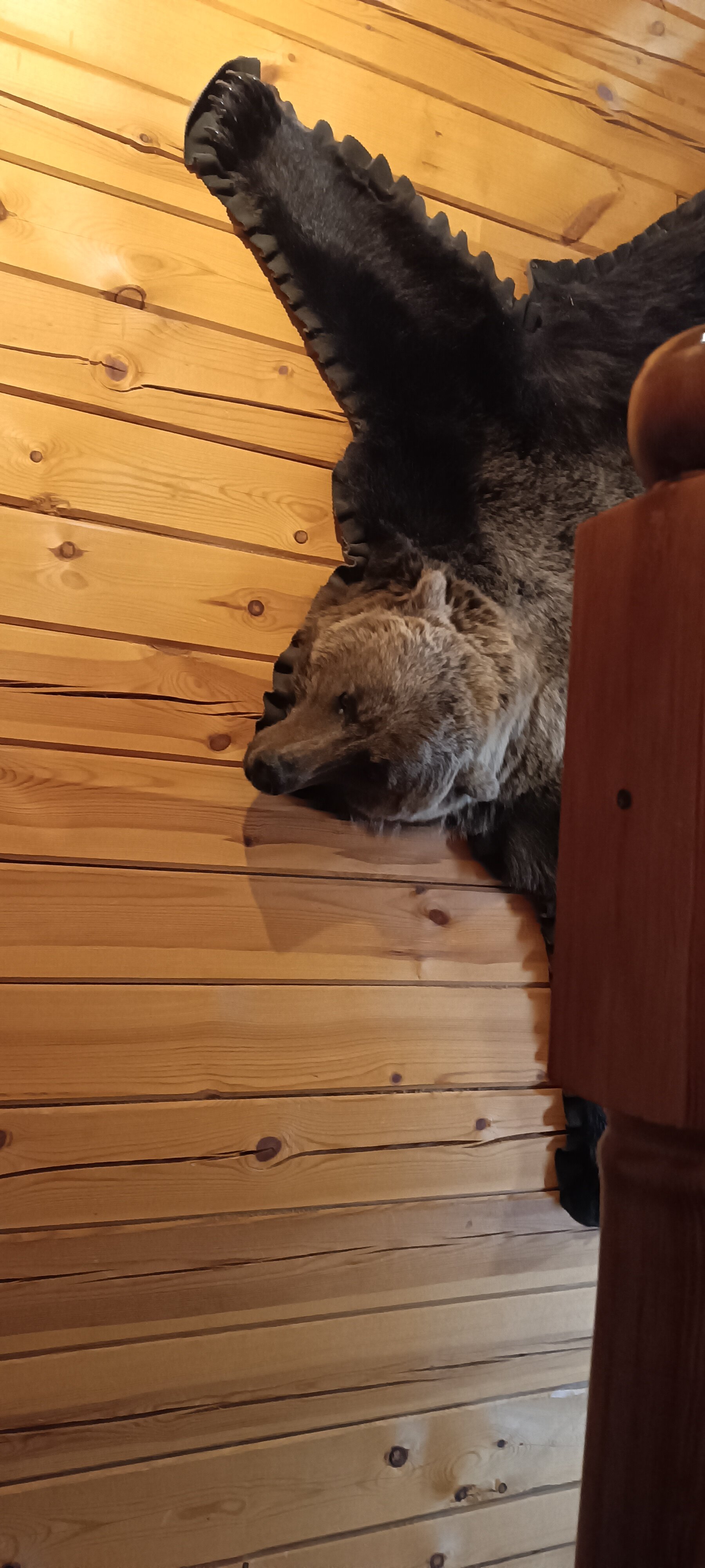 Фото БОР'ок