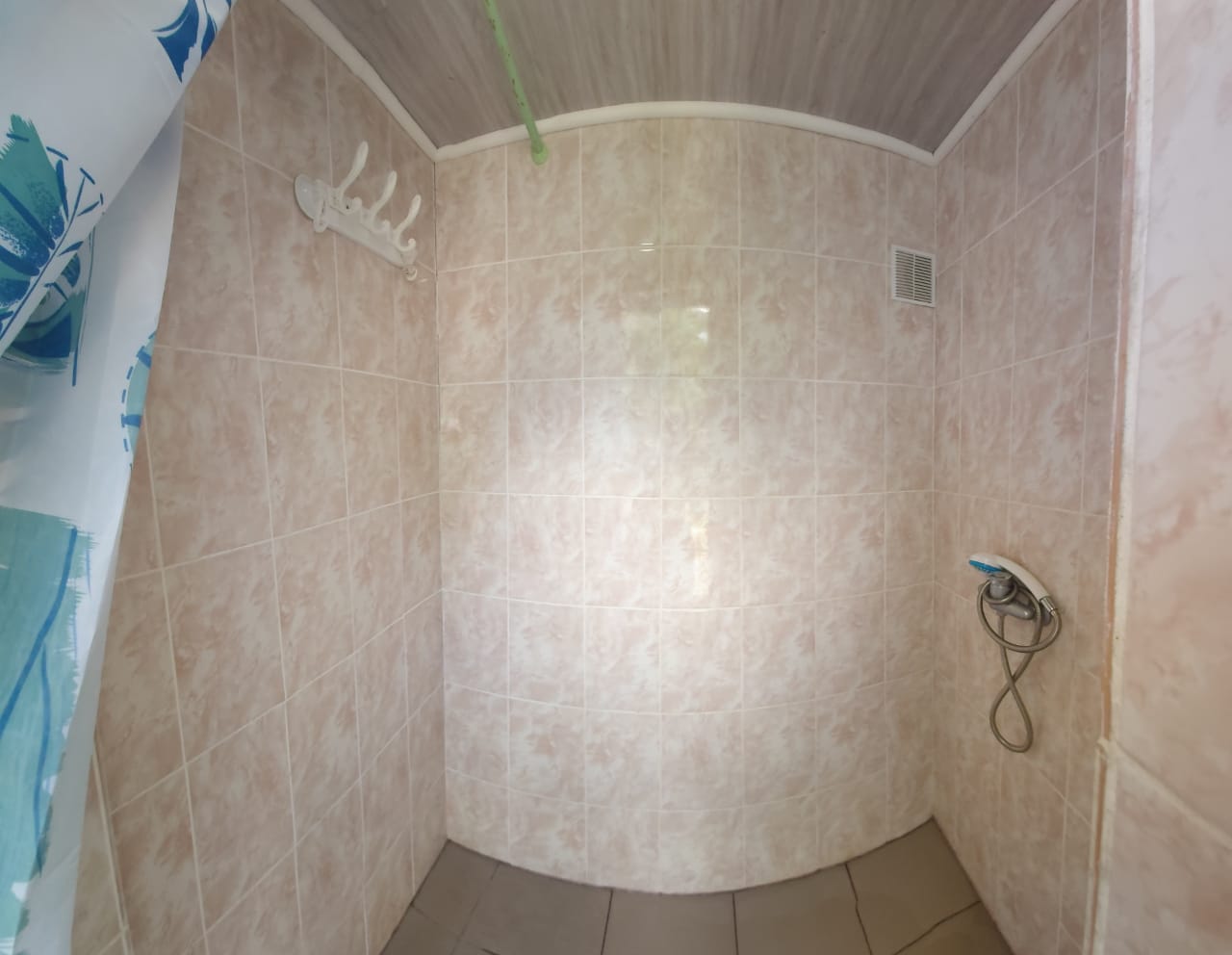 Фото Золотая Рыбка