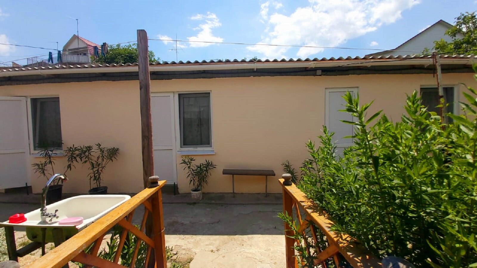 Фото Золотая Рыбка