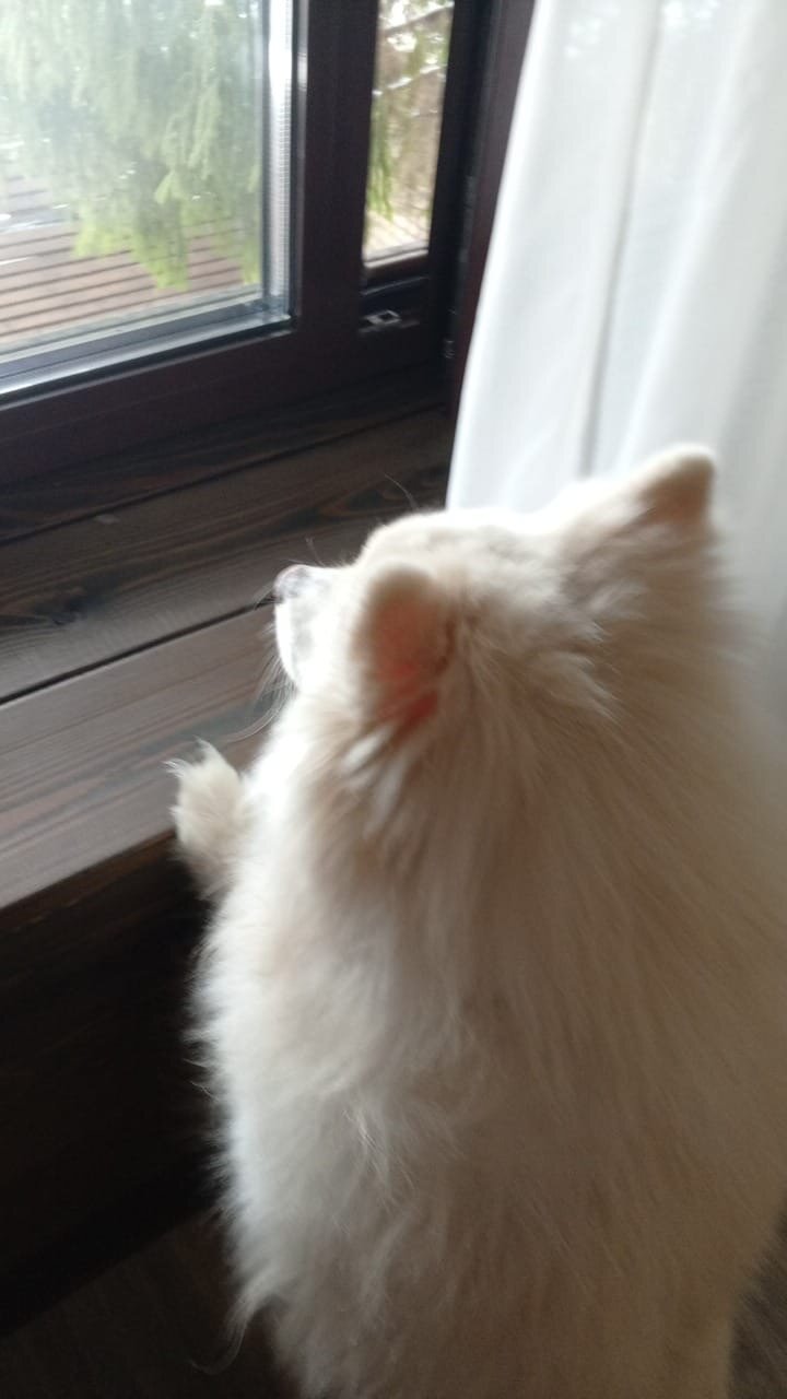 Фото Внукинг