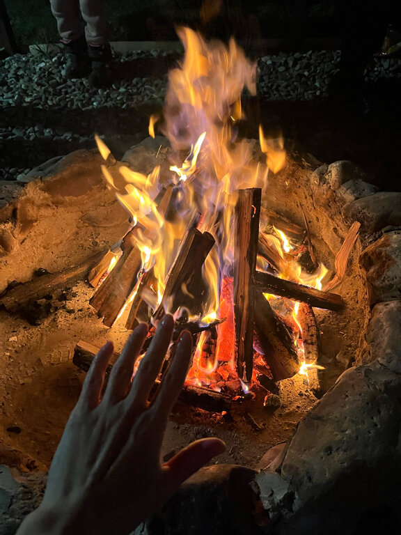 Фото Стрижи