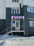 Чистетика (Village of Zasechnoe, Izumrudnaya Street, 10), tintorería
