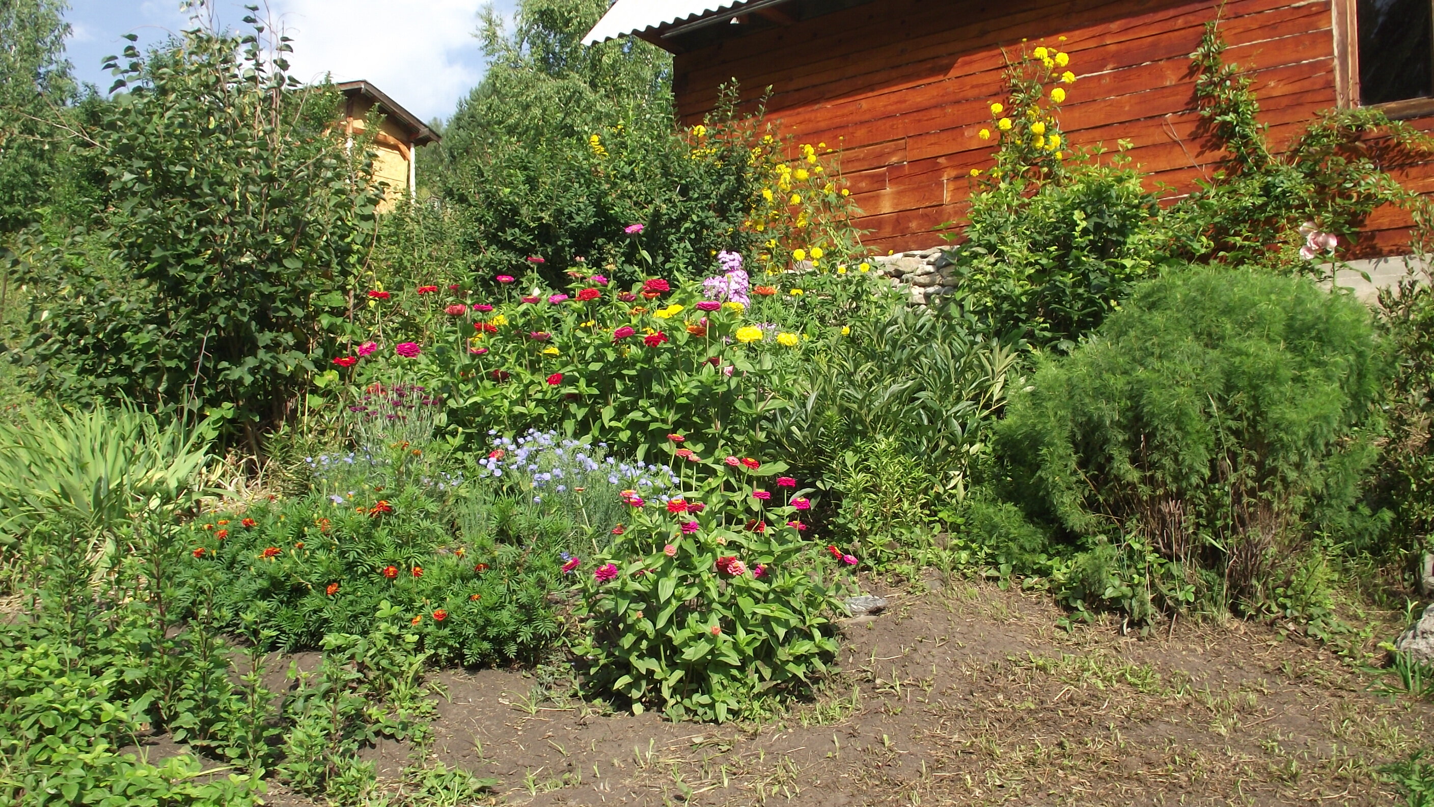 Фото Тихий Лог